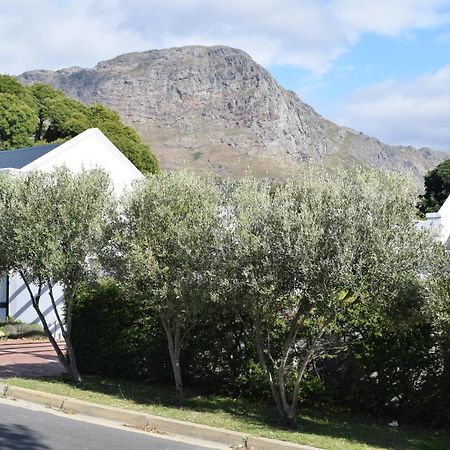 Protea Studio Franschhoek Central Kültér fotó