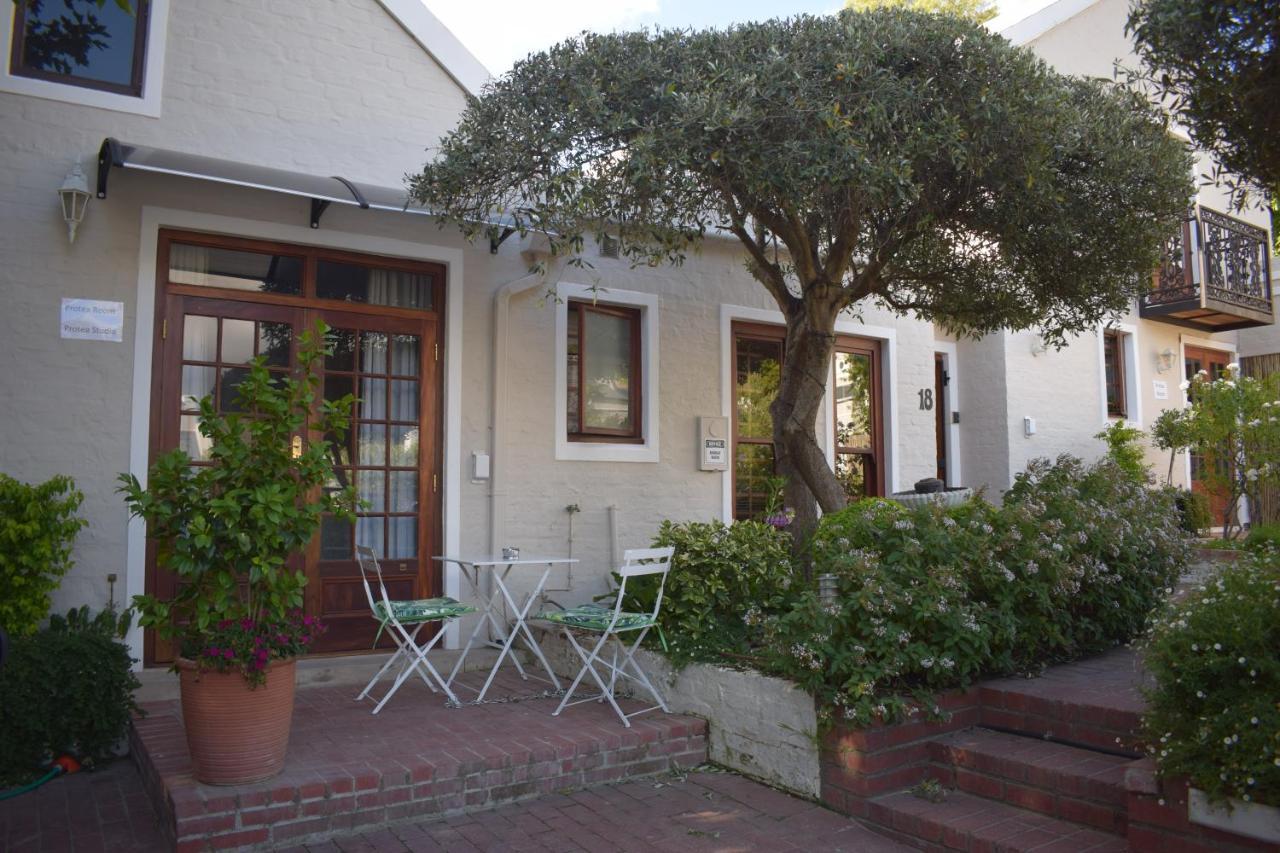 Protea Studio Franschhoek Central Kültér fotó