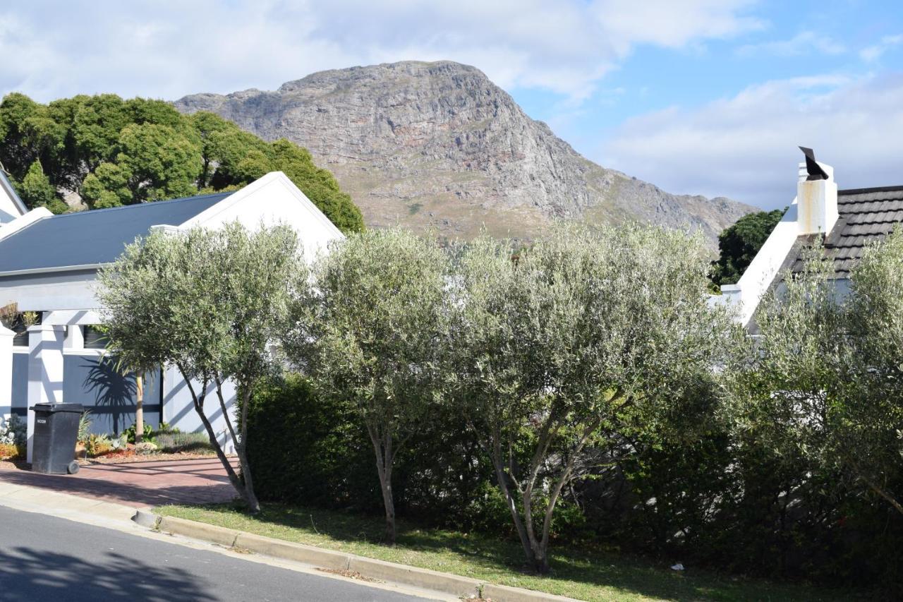 Protea Studio Franschhoek Central Kültér fotó